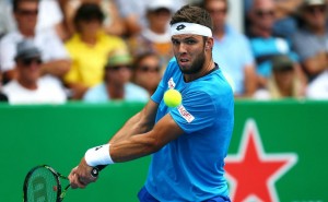 Vesely